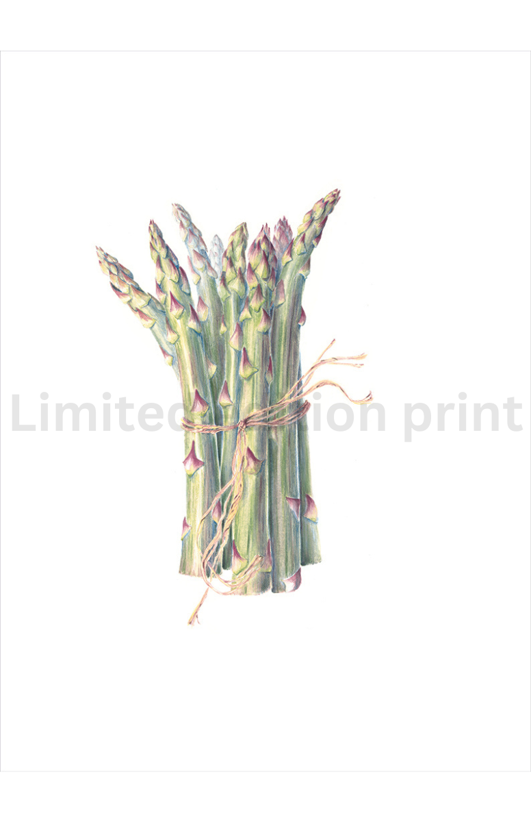 Asparagus print