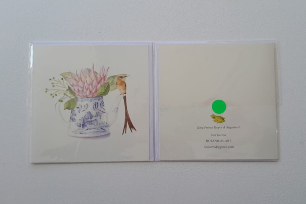 King Protea teapot & Sugarbird card