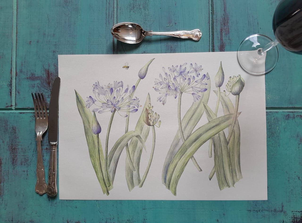 Agapanthus Paper Placemats