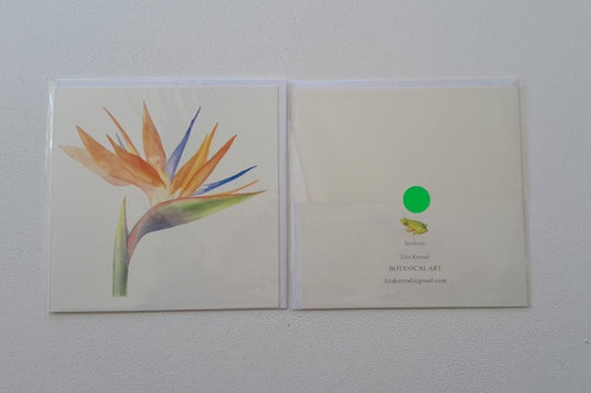 Strelitzia card