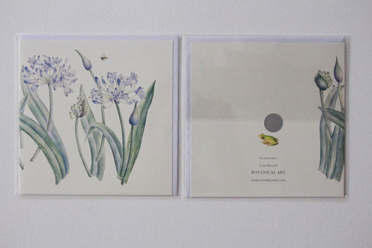 Agapanthus card