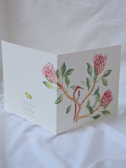 King protea and sugarbird card