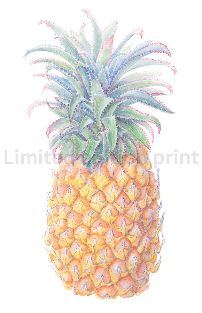 Pineapple print