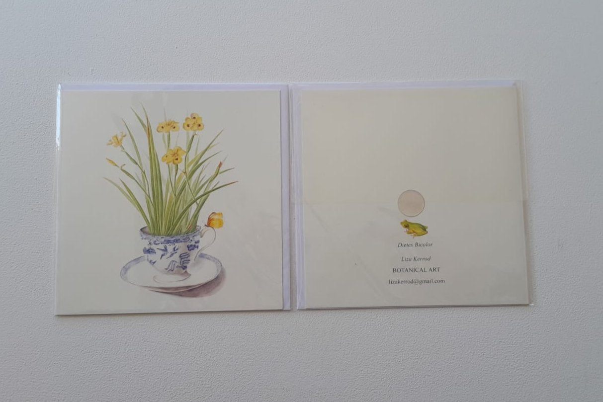 Dietes Bicolor card