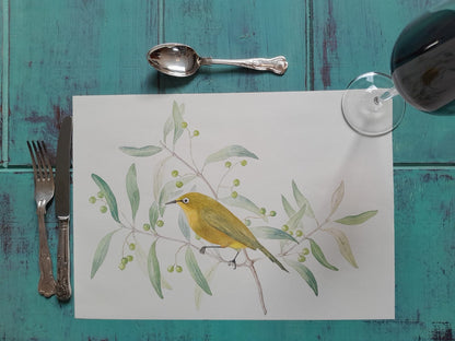 Cape white eye Paper Placemats