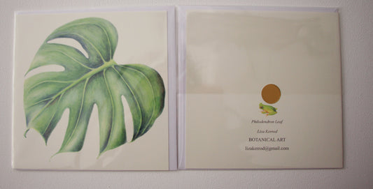 Philodendron leaf card