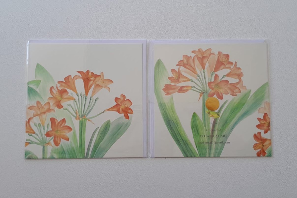 Clivia card