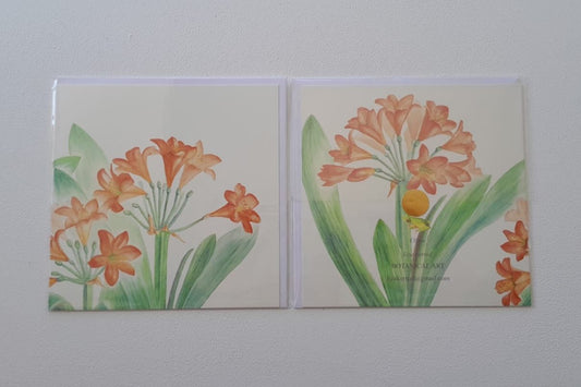 Clivia card