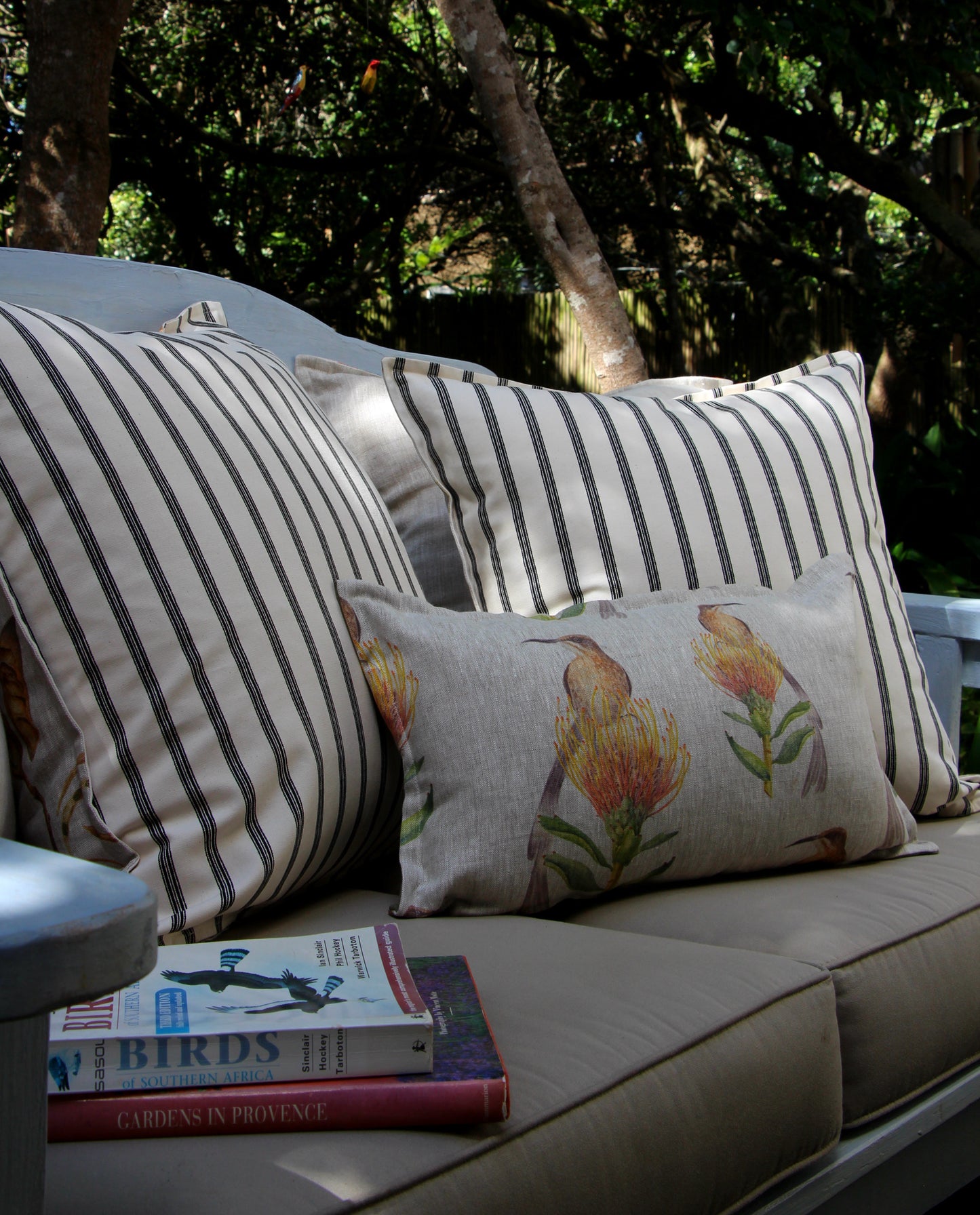 Sunbird and Protea Pincushion Cushion Cover