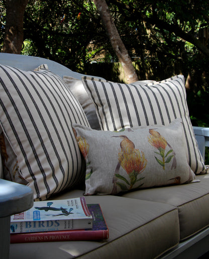 Sunbird and Protea Pincushion Cushion Cover