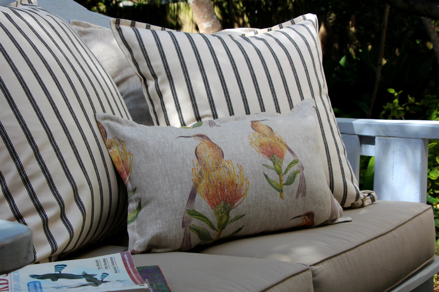 Sunbird and Protea Pincushion Cushion Cover